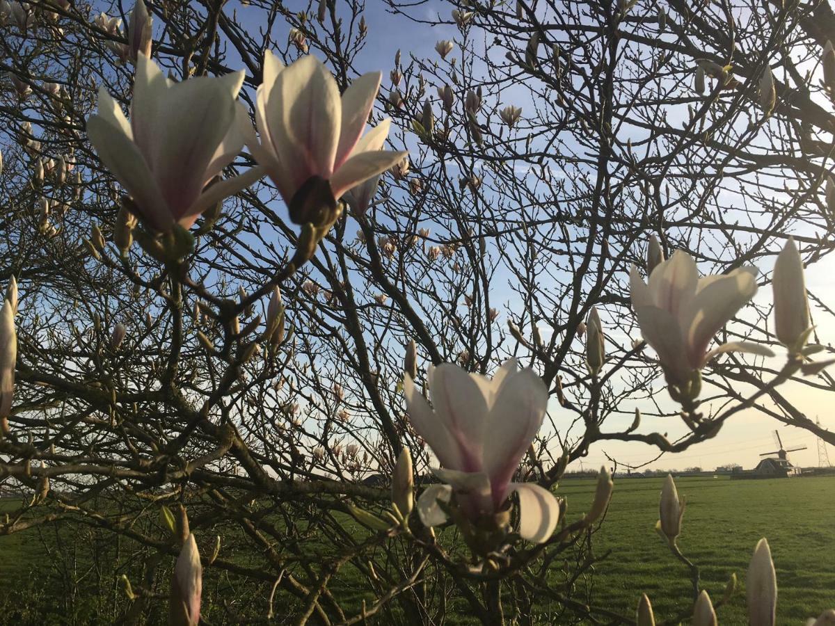 Groeten Uit Hoogmade - Rural Cottage ภายนอก รูปภาพ
