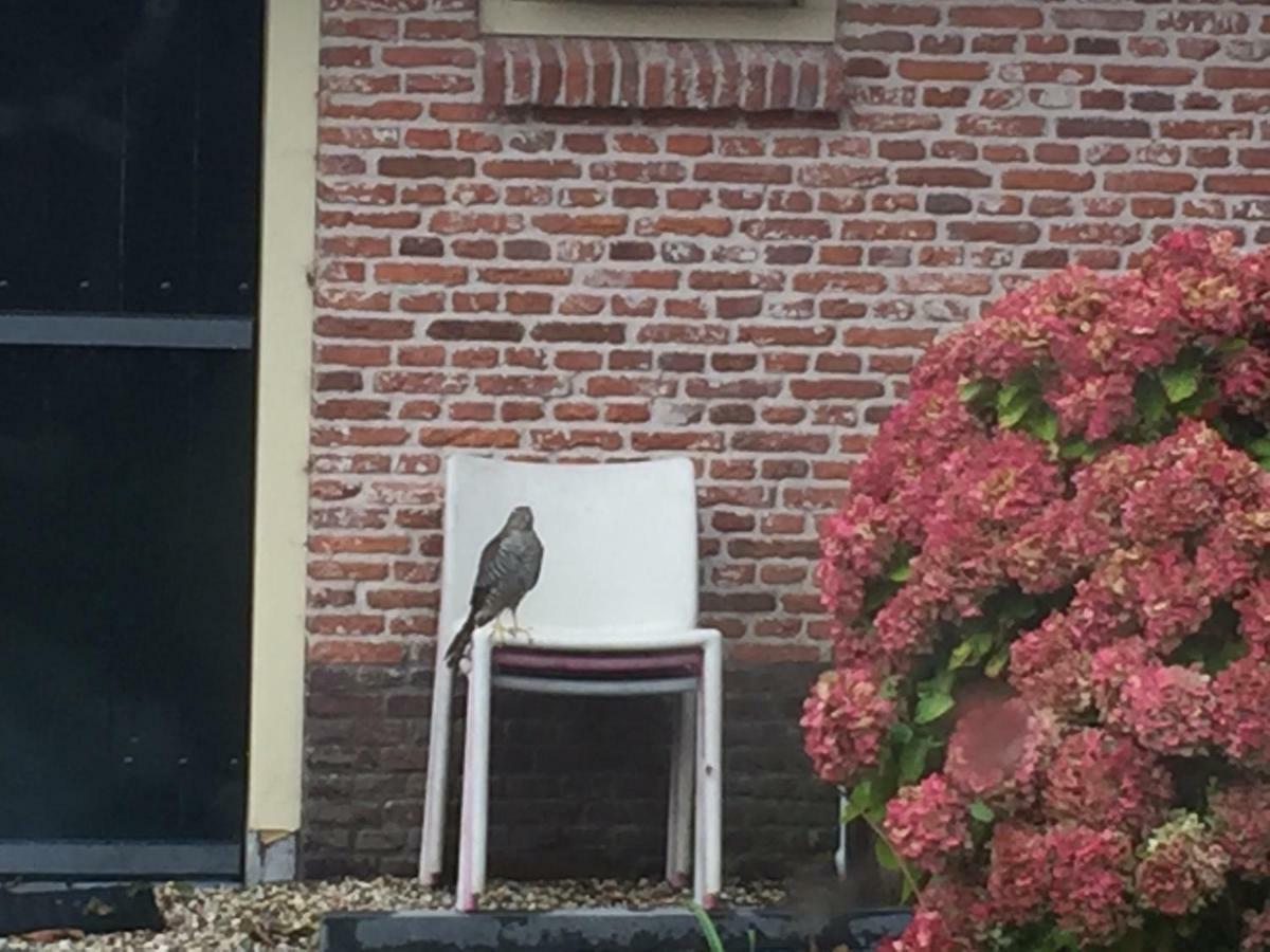 Groeten Uit Hoogmade - Rural Cottage ภายนอก รูปภาพ